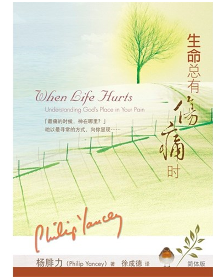 When Life Hurts: Understanding God's Place in Your Pain (Simplified Chinese)